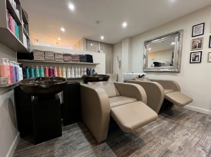 Salon Highlight